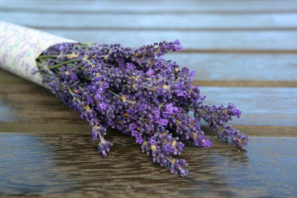 Лавандовая ферма. Япония Лавандовая ферма. Япония