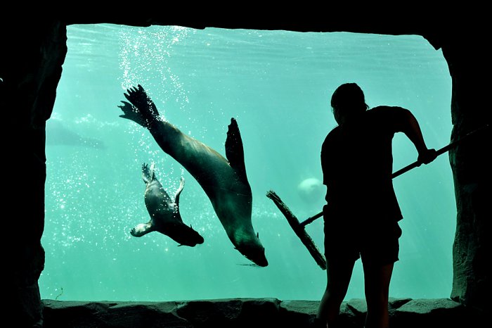 ������������ ���: 1 ����