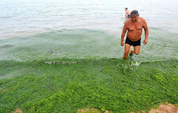 ������������ ���: 1 ����