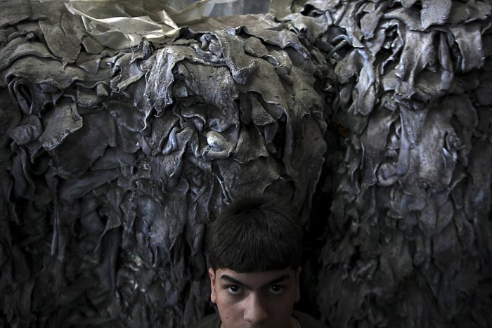 ������������ ���: 1 ����