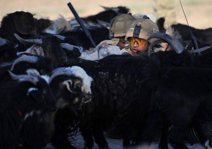 ������������ ���: 1 ����