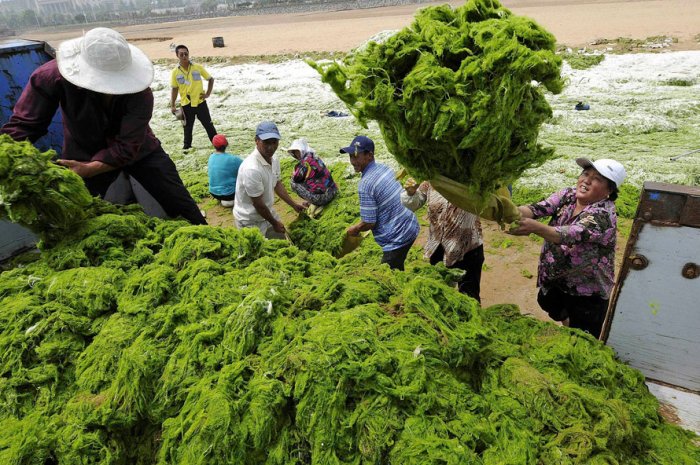 ������������ ���: 6 ����