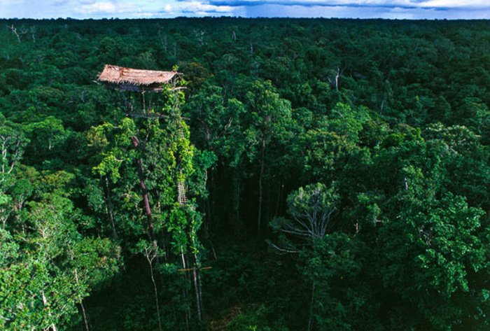 ������� � ����� �� ��������