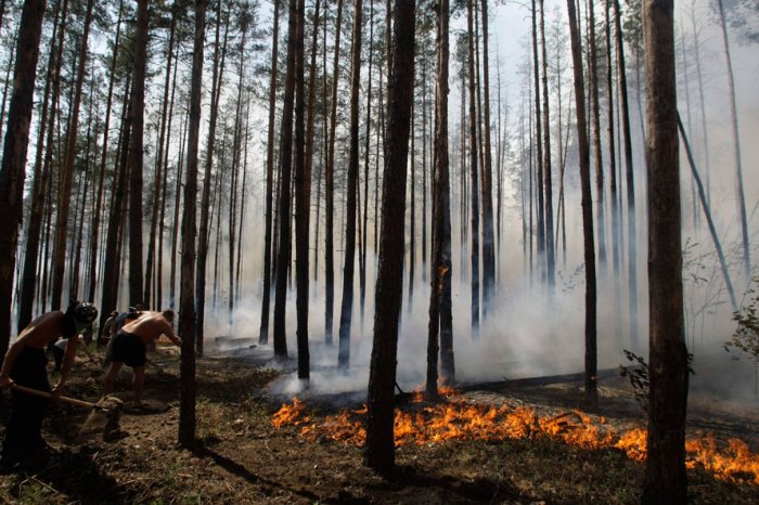Фотоподборка дня: 1 августа Фотоподборка дня: 1 августа