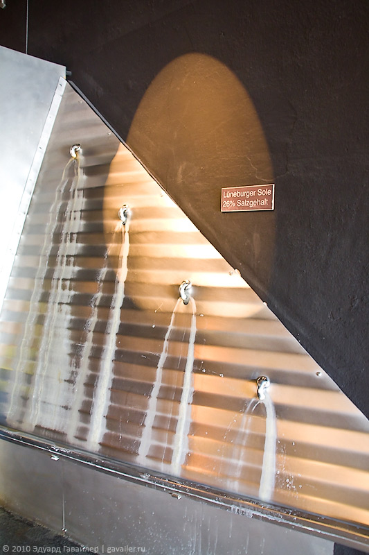 ��������: ����� ����