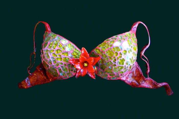 Изысканные бюстгальтеры Изысканные бюстгальтеры