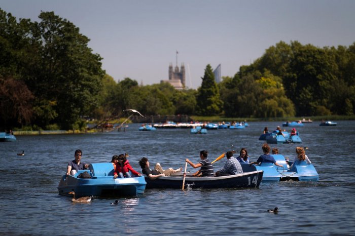 ������� ���� 2010 (����� 1)