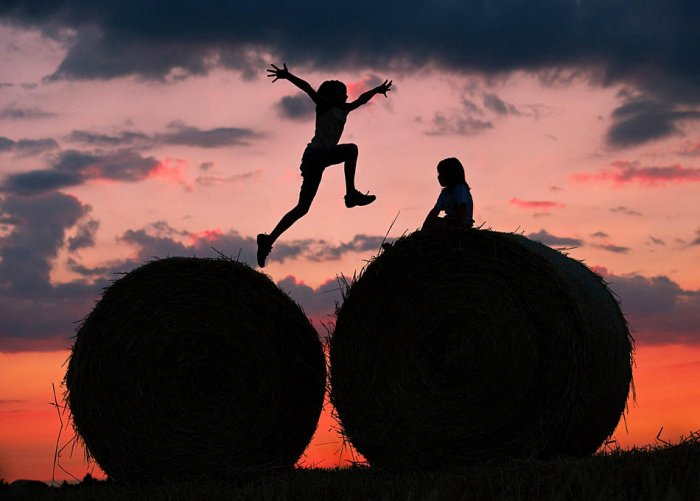 ������� ���� 2010 (����� 1)