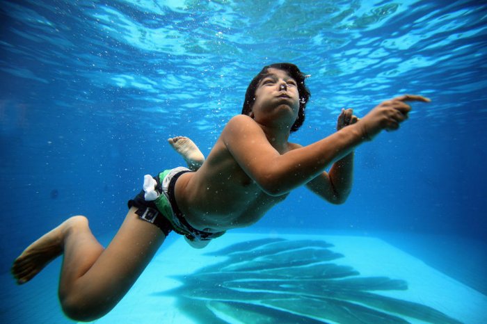 ������� ���� 2010 (����� 1)