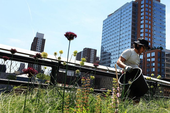 ������� ���� 2010 (����� 1)