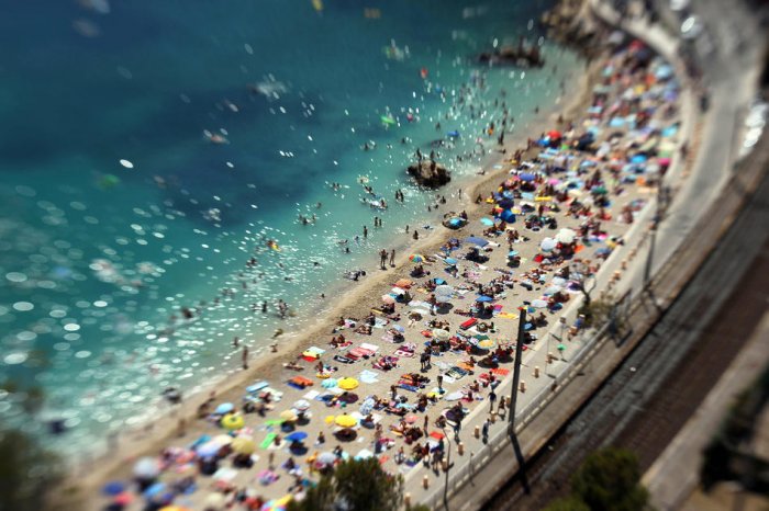 ������� ���� 2010 (����� 2)