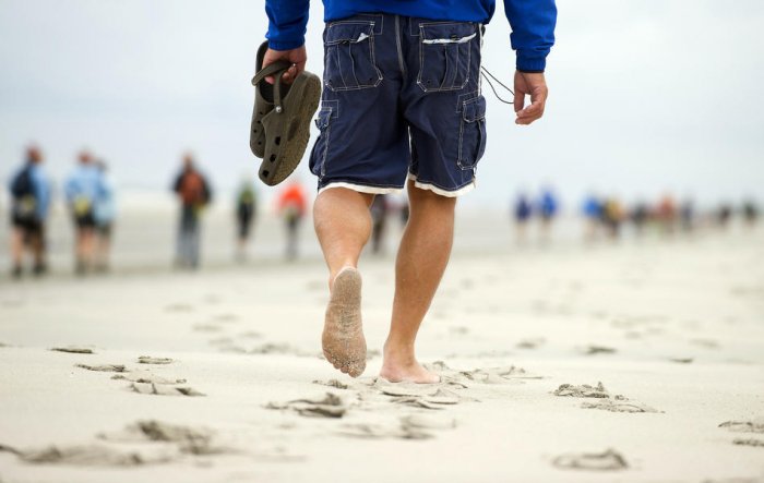 ������� ���� 2010 (����� 2)