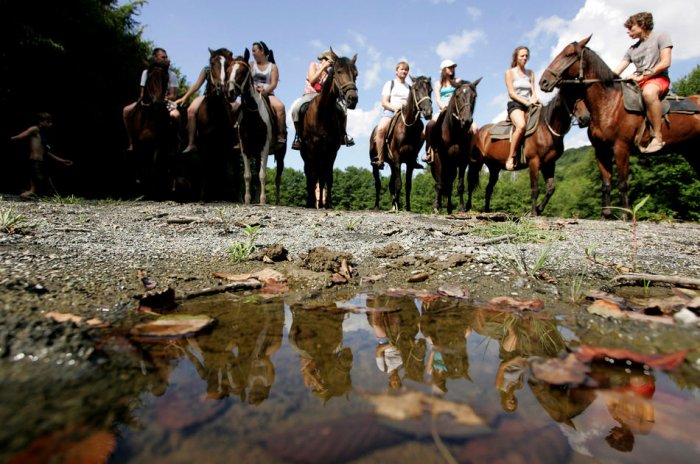 ������� ���� 2010 (����� 2)