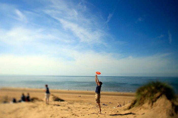 ������� ���� 2010 (����� 2)