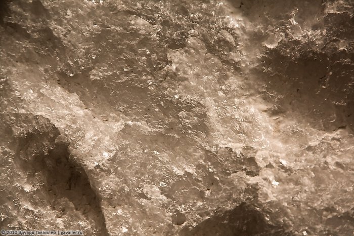 ��������: ����� ����