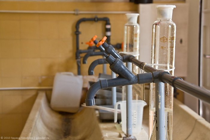 ��������: ����� ����