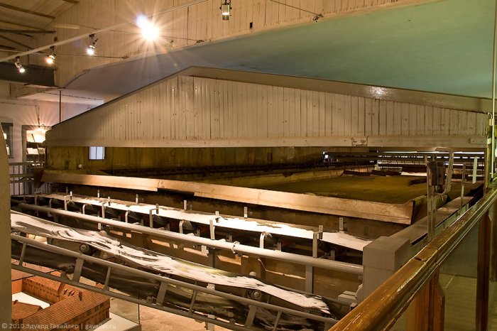 ��������: ����� ����