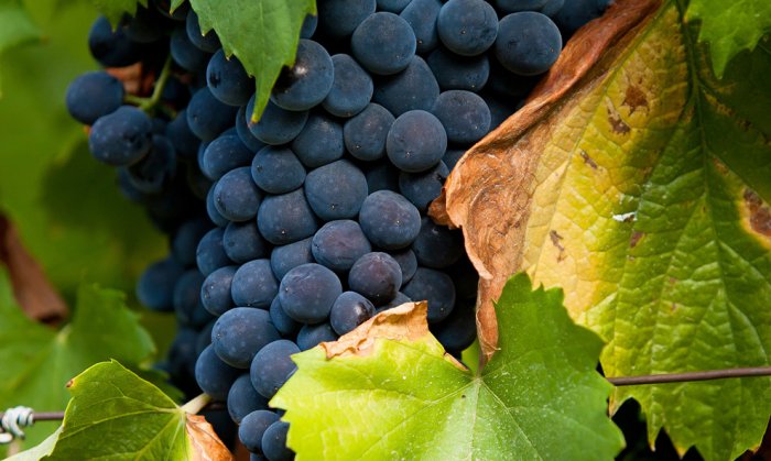 ����� � �������