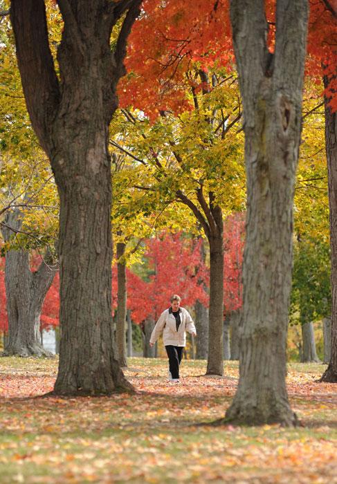 ������������ ���: 19 �������