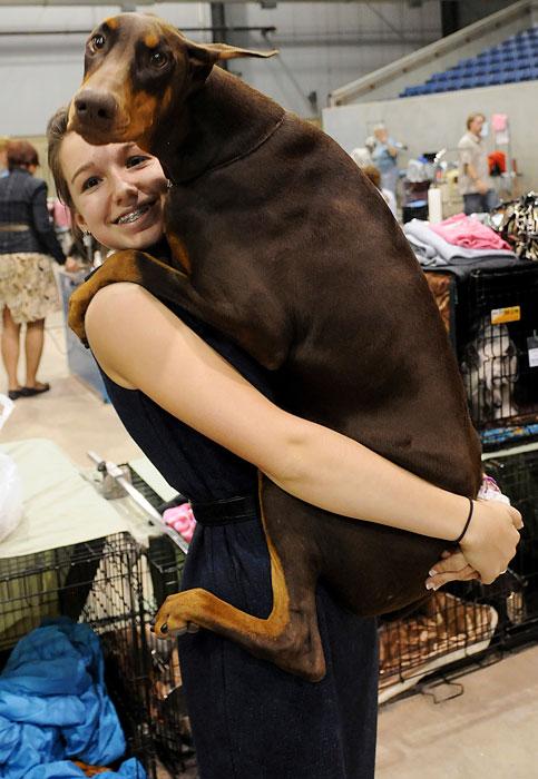 ������������ ���: 19 �������