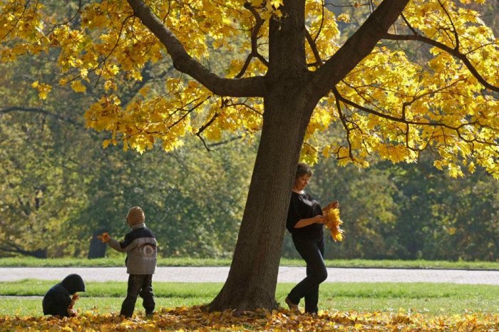 Фотоподборка дня: 6 октября Фотоподборка дня: 6 октября
