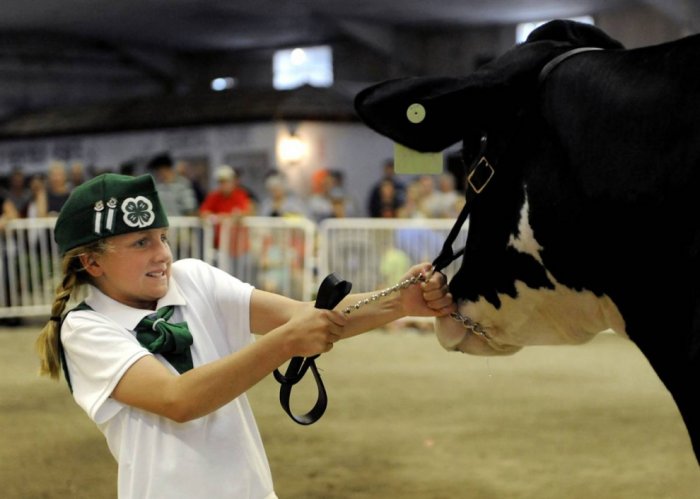 ������ ���� �������