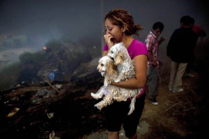 ������ ���� �������