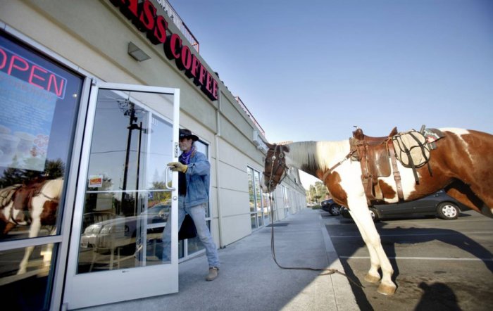 ������ ���� �������