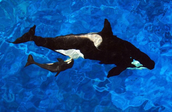 Фотоподборка дня: 11 октября Фотоподборка дня: 11 октября