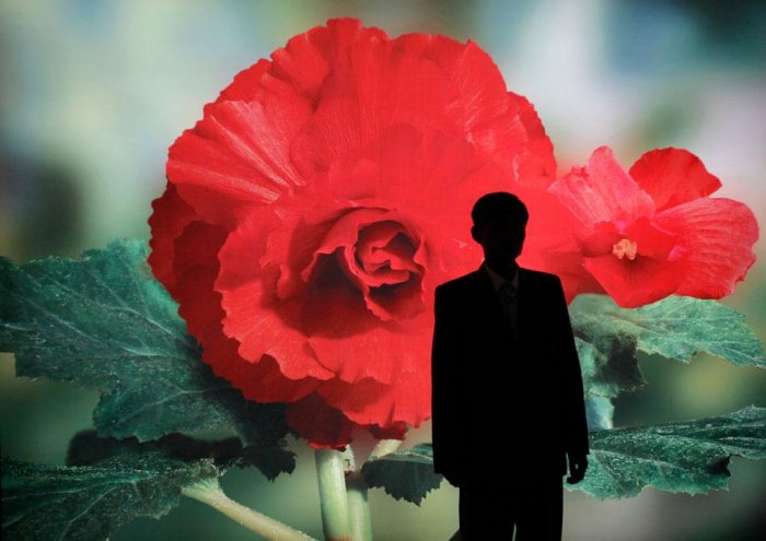 Фотоподборка дня: 12 октября Фотоподборка дня: 12 октября