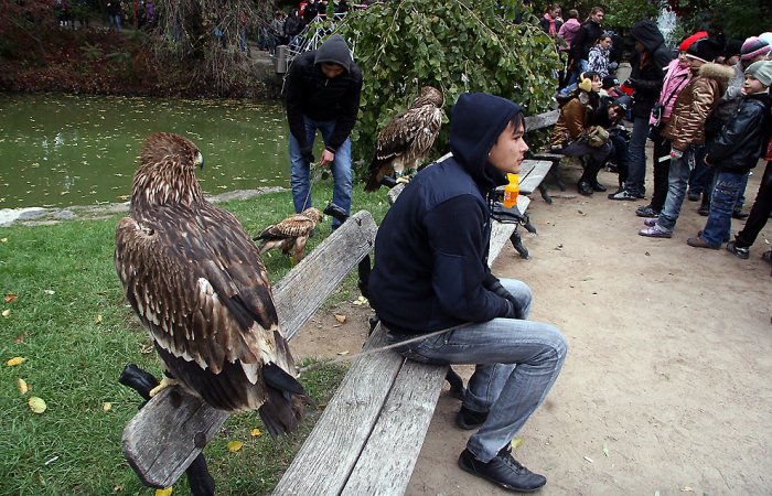 Дендропарк «Софиевка» Дендропарк «Софиевка»