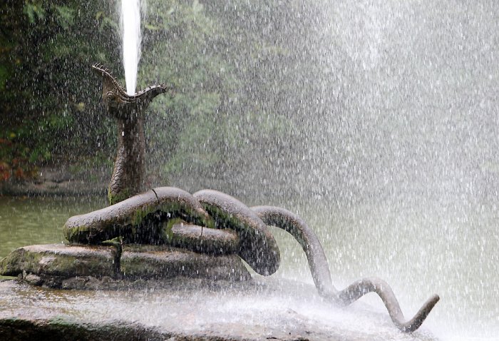 Дендропарк «Софиевка» Дендропарк «Софиевка»