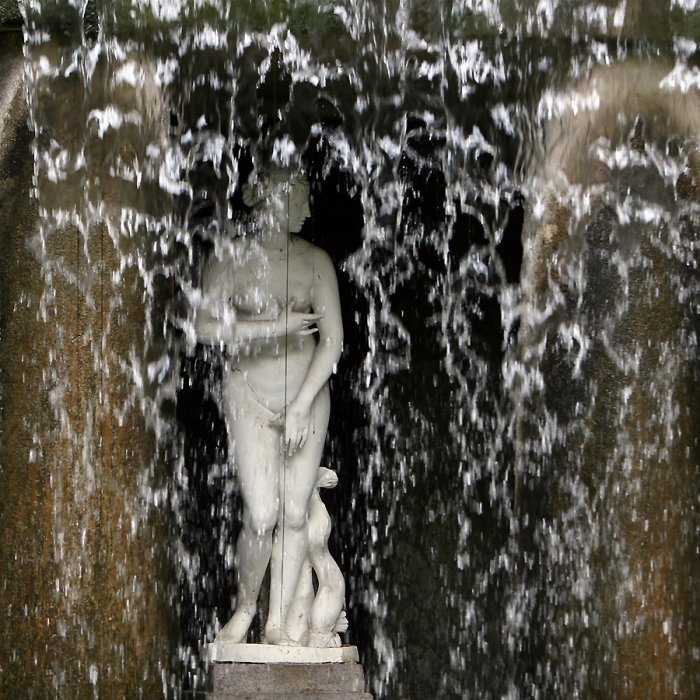 Дендропарк «Софиевка» Дендропарк «Софиевка»