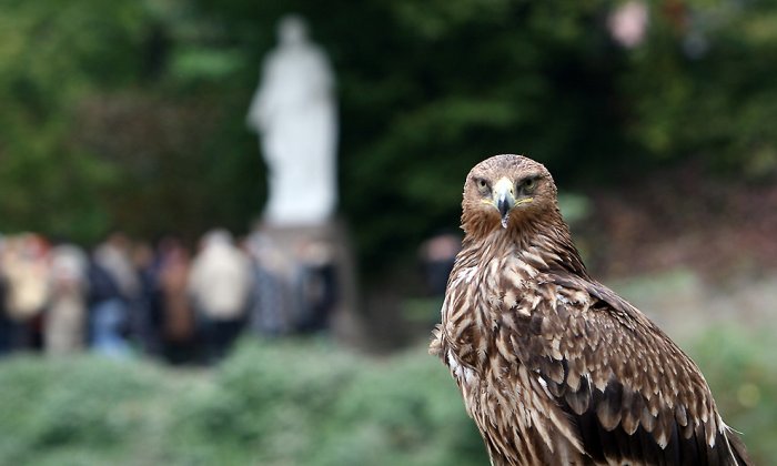 Дендропарк «Софиевка» Дендропарк «Софиевка»