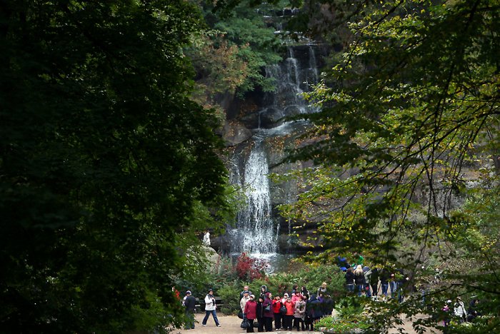 Дендропарк «Софиевка» Дендропарк «Софиевка»