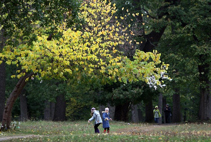 Дендропарк «Софиевка» Дендропарк «Софиевка»