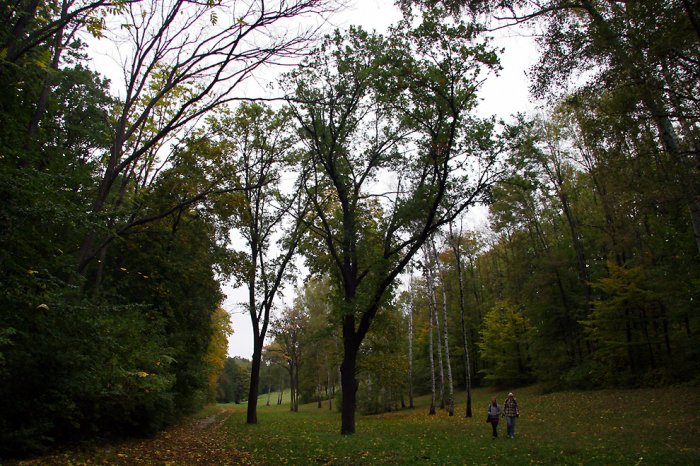 Дендропарк «Софиевка» Дендропарк «Софиевка»