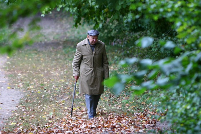 Дендропарк «Софиевка» Дендропарк «Софиевка»