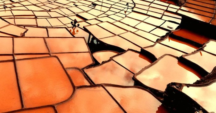 ������������ ���: 19 �������