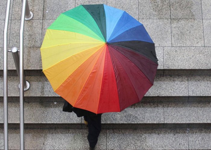 ������������ ���: 19 �������