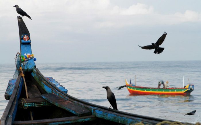 ������������ ���: 19 �������