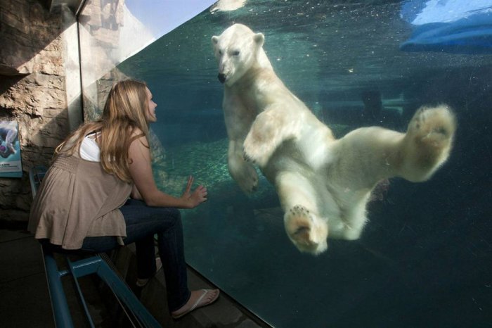 ������ ���� �������