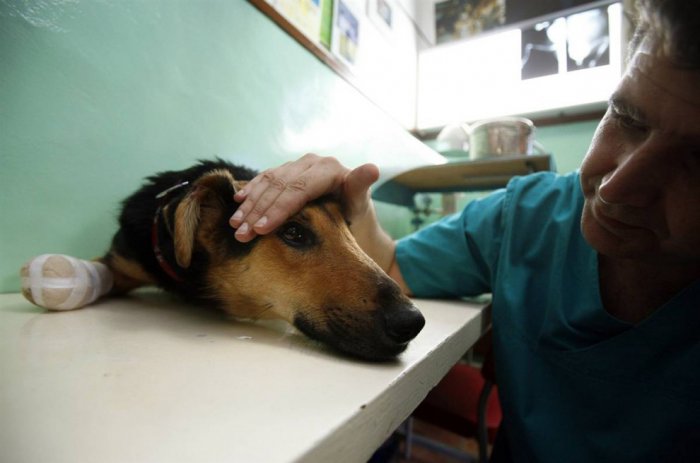 ������ ���� �������