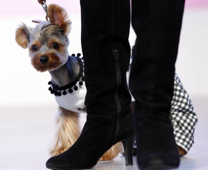 ������ ���� �������