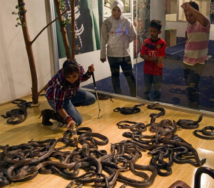 ������ ���� �������