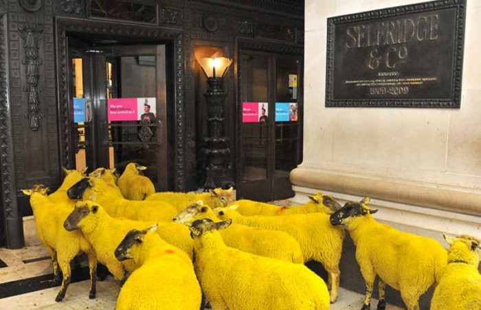 ������ ���� �������