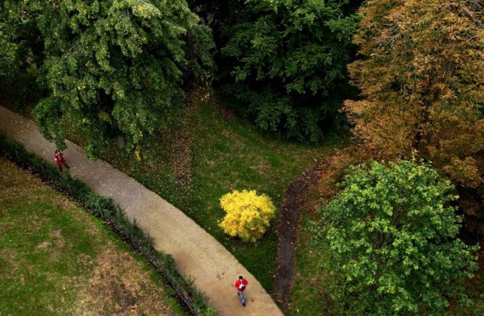 ������� �����������