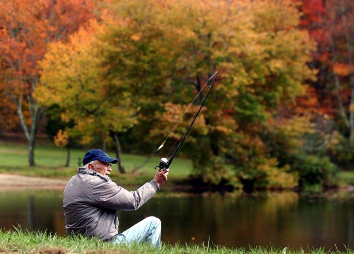 ������� �����������