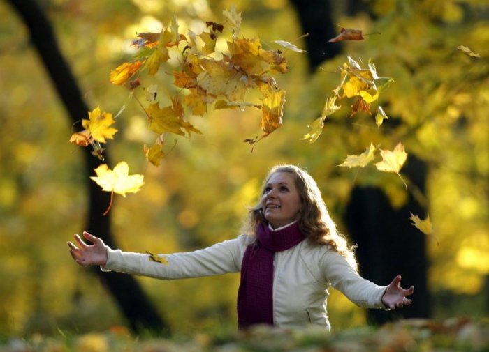 ������� �����������