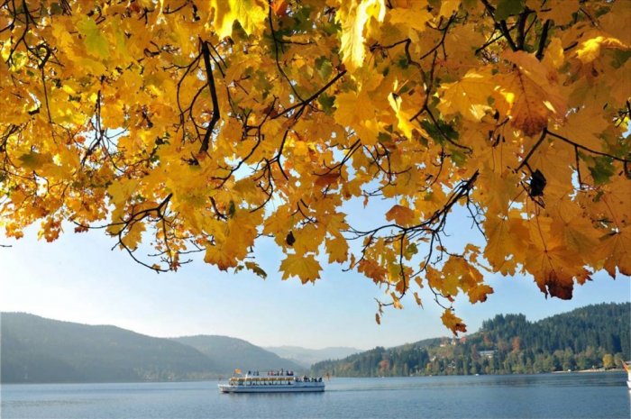 ������� �����������